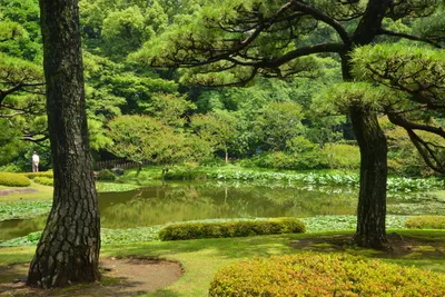 DSC_3348 (Large).JPG